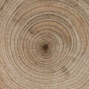 Texture nœud bois clair
Architecture durable